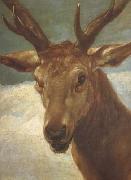 Diego Velazquez Head of a Stag (df01) oil painting reproduction